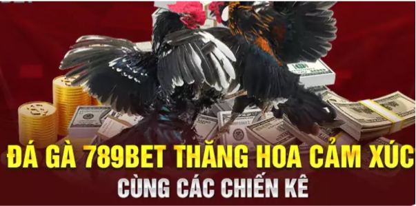 da-ga-789bet-thang-hoa-cam-xuc